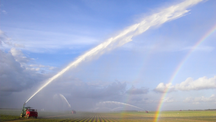By 2050, the world will require 50 per cent more food production